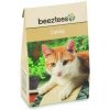 Beeztees Catnip box 20g