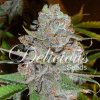 Delicious Seeds La Diva Auto semena neobsahuji THC 100 ks