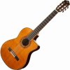 Tanglewood EM DC 5