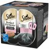 Sheba Perfect Portions s lososom pre dospelé mačky 3 x 75 g