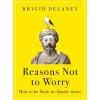 Reasons Not to Worry (Brigid Delaney)(Brožovaná)