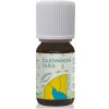 HANUS Čajovníková silica 10 ml