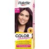 Palette Color Shampoo 4-99 Bordó farba na vlasy