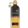 Montale Spicy Aoud parfémovaná voda unisex 100 ml