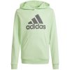 adidas Big Logo Hoodie Jr IS2591