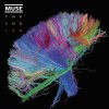 Muse: 2nd Law - 2Vinyl (LP)