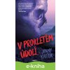 E-kniha V prokletém údolí - Jenny Kiefer