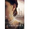 Nebezpečné dedičstvo - Elizabeth Camdenová
