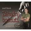 Záhadné bodnutí - Případ pražské kriminálky (audiokniha) - Josef Mareš