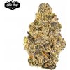 Auto Runtz - Tatra Seeds Balenie: 10+3ks