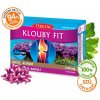Terezia Company Kĺby fit 60 kapsúl