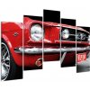 Ford Mustang - obraz autá (Obraz 125x90cm)