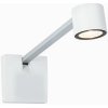 Paulmann Assistance Adelia LED obrazové svetlo - 95574
