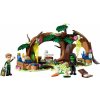 LEGO LEGO Wicked - Elphaba a její úkryt