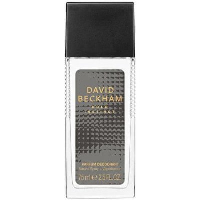 David Beckham Bold Instinct - deodorant s rozprašovačem 75 ml