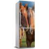 Nálepka fototapeta chladnička Kone 60x180 cm