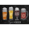 Ceduľa Types Of Beer 40 x 30 cm Plechová tabuľa