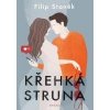 Křehká struna - Staněk Filip