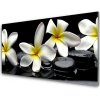 Obraz plexi Kamene kvety kúpele 100x50 cm