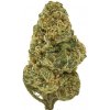 Cheesecake CBD flowers Finest Selection CBD 16% | 1G