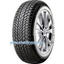 Giti WINTER W1 195/65 R15 91H