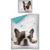 Posteľné obliečky Šteniatko buldoček Happy