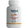 Medveď natural LongVida optimalizovaný kurkumín 60 kapsúl