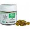 Cannaline CBD mäkké gélové kapsuly – 750 mg CBD, 30 x 25 mg