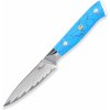 Dellinger nôž lúpací Petty 9,5 cm Blue Stone VG-10 Damascus