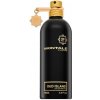 Montale Oud Island parfémovaná voda unisex 100 ml