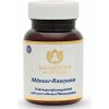 Men´s Rasayana vitalita, energia a pohoda pre mužov Maharishi Ayurveda 60ks Obsah: 60 tabliet
