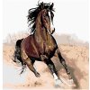 Zuty - Westlogic Zuty Maľovanie podľa čísel - HNEDÝ KÔŇ V PIESKU, 40x50