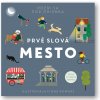 Prvé slová - Mesto - Fiona Powers (ilustrátor)