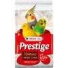 VERSELE LAGA 40% Shell Sand Premium Marine - biely piesok s anízom 5kg