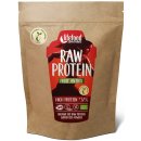 Lifefood Raw ovocný proteín BIO 450 g