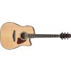 Ibanez AAD51CE-NT