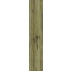 Vinyl Kompozitná Podlaha SPC+ Jelinek Oak Light Brown, 1230 x 228 x 5.5 mm, 1.68m2