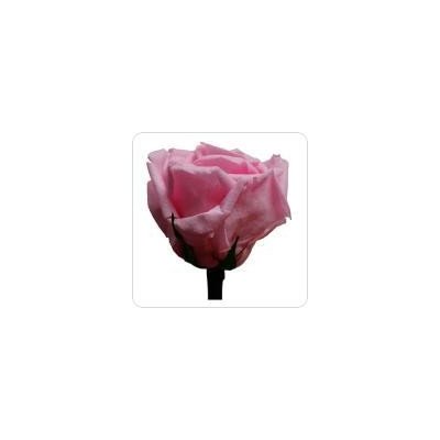Darčeková stabilizovaná ruža - svetlo ružová