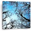 Sablio Obraz Holé konáre - 50x50 cm