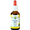 Salvia Paradise Rozchodnice růžová rhodiola AF tinktura 30 ml