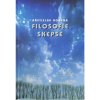 Filosofie skepse - Břetislav Horyna