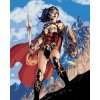 ZUTY Maľovanie podľa čísel WONDER WOMAN MEČ A ŠTÍT
