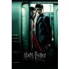 Plagát, Obraz - Harry Potter a Dary smrti, 26.7 × 40 cm