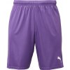 Pánske futbalové šortky Puma, TEAMGOAL SHORTS Fialová,Biela XXL