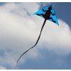 Šarkan LIZARD KITE