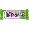 Bombus Raw Energy BIO 50 g kakao - kokos