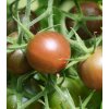 BIO Paradajka čierne Cherry - Solanum lycopersicum - bio semená paradajky - 6 ks