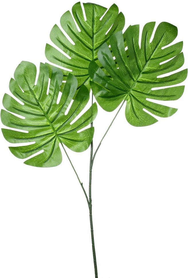 LIST MONSTERA 59CM