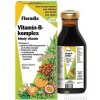 SALUS Floradix Vitamín-B-komplex tekutý vitamín 1x250 ml SALUS Haus Dr.med.Otto Greither Nachf. GmbH & Co.