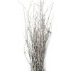 Sušené brezové vetvičky metalické 200g - strieborné